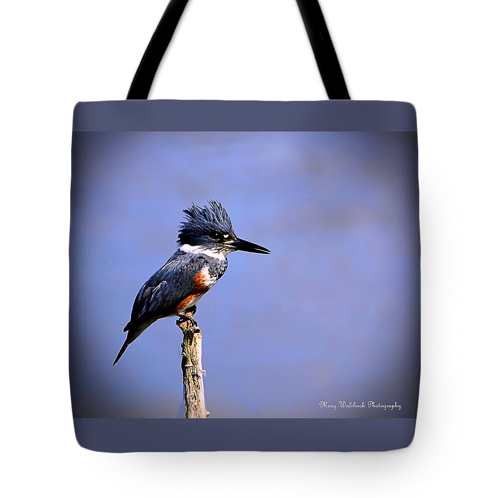 Birds Tote Bag featuring the photograph Belted Kingfisher by Mary Walchuck