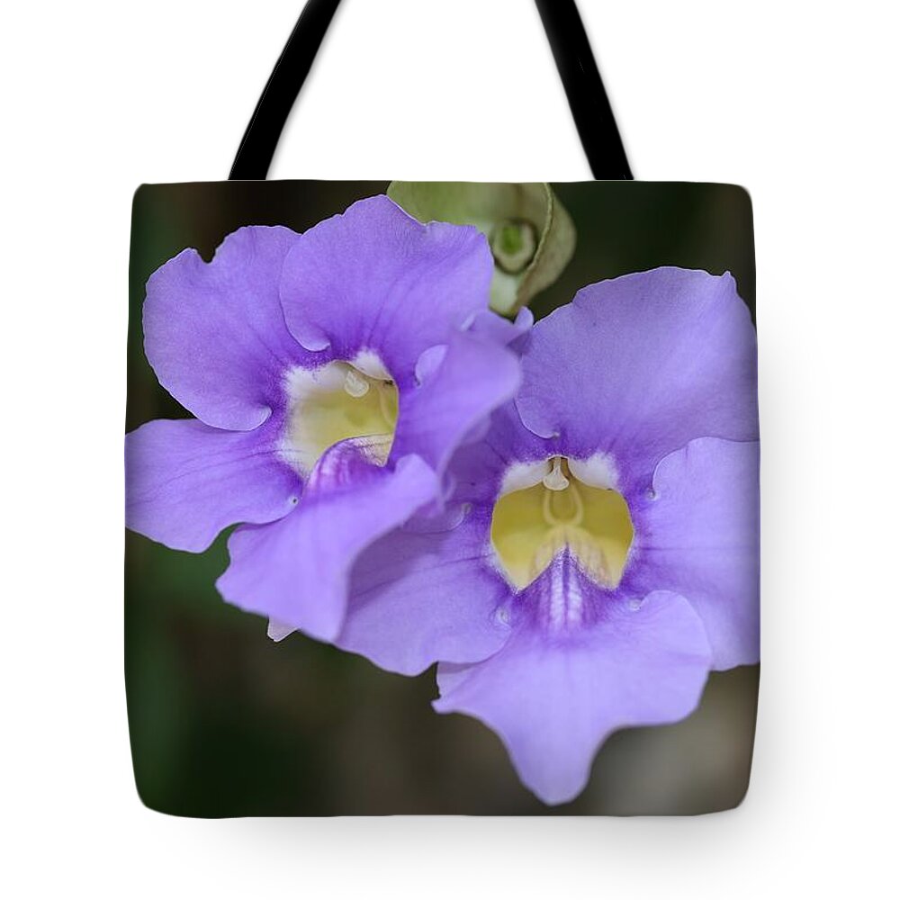 Bengal Clockvine Tote Bag featuring the photograph Yellow Throat of Bengal Trumpet by Mingming Jiang