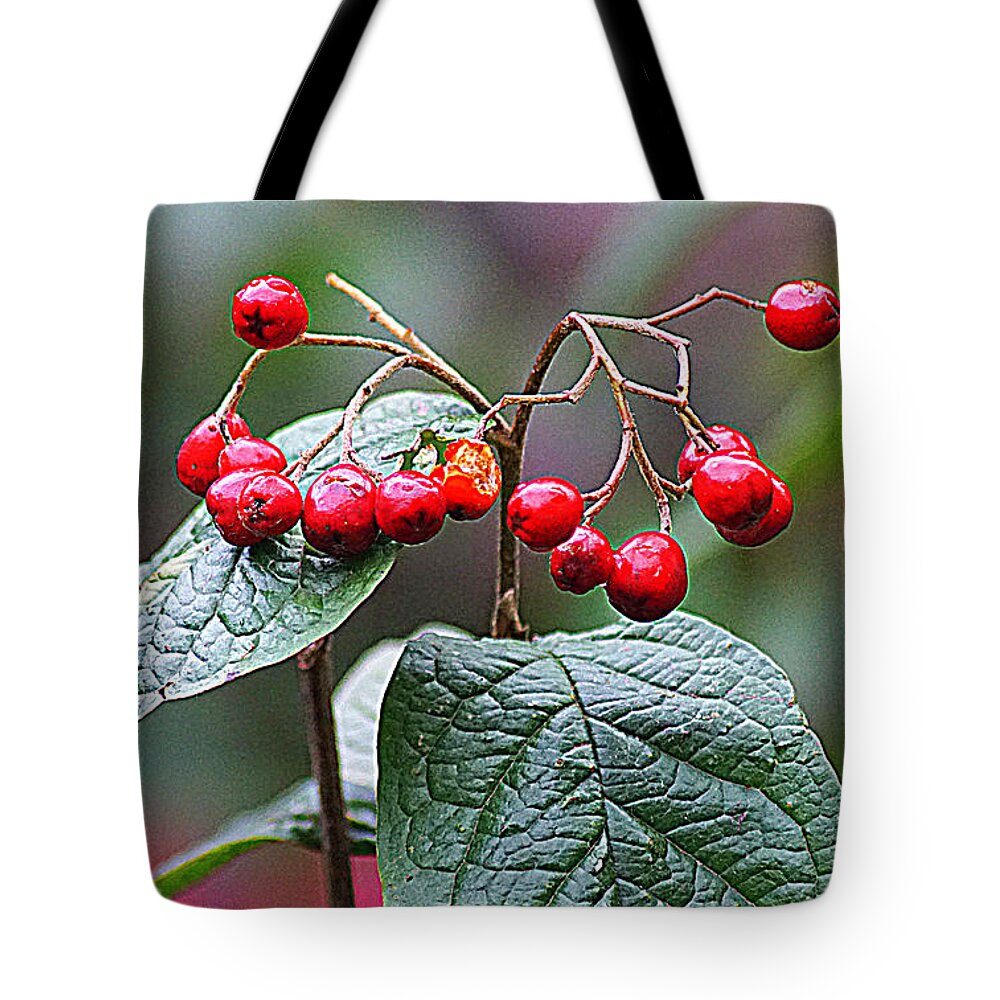 Nature Tote Bag featuring the photograph Berries by Jolly Van der Velden