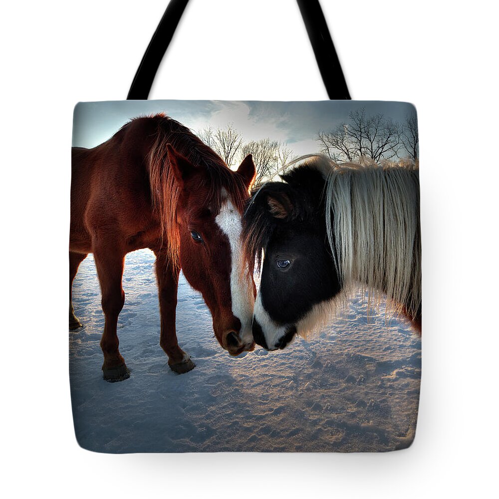 Horse Friends Pals Buddies Kissing Shetland Snow Winter Farm Rural Sunset Horses Equine Snow Mane Sweet Love Tote Bag featuring the photograph Best Friends - two horses showing each other some affection in winter sunset by Peter Herman