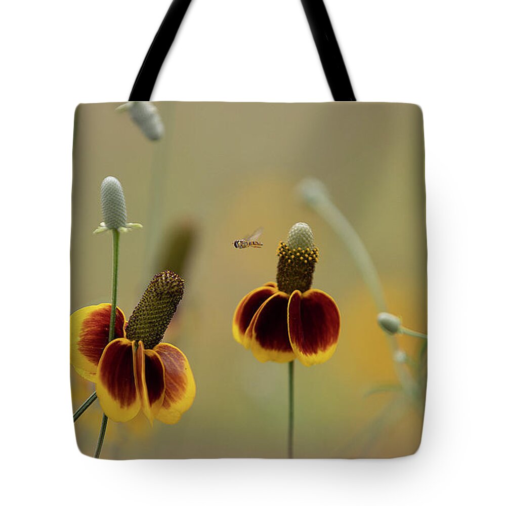 Insect Tote Bag featuring the photograph Between Flowers by Deon Grandon