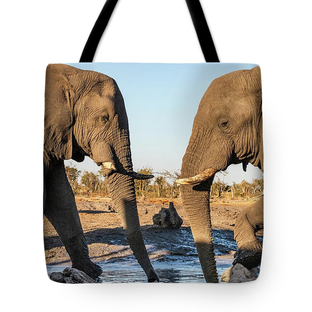 African Elephant Tote Bag featuring the photograph Between Friends by Elvira Peretsman