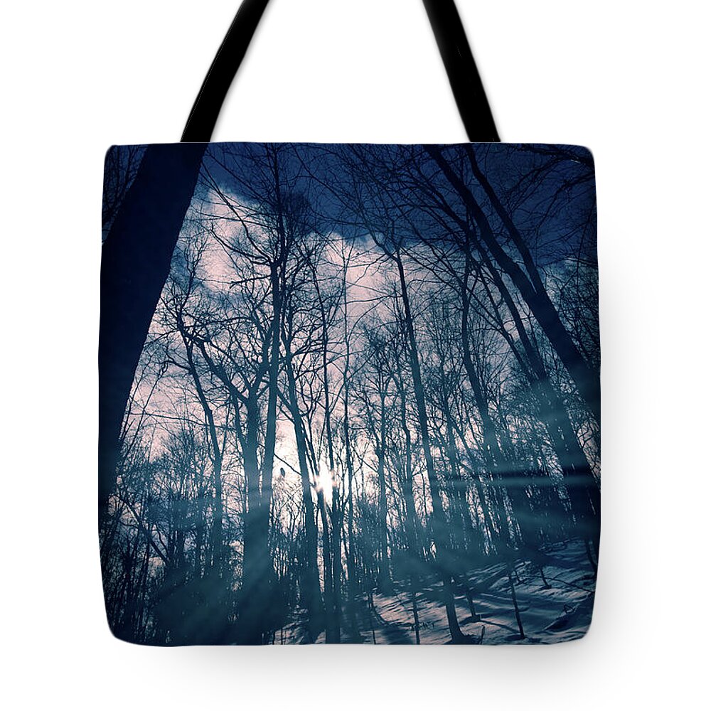 Light Tote Bag featuring the photograph Between The Light And The Shadow by Carl Marceau
