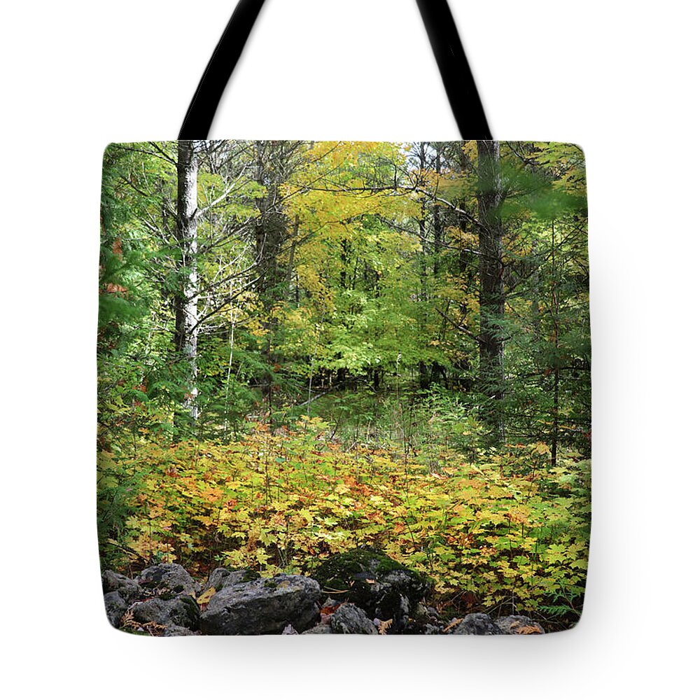 Farm Path Tote Bag featuring the photograph Beyond the Stone Fence by David T Wilkinson
