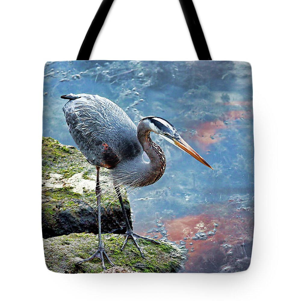 Great Blue Heron Tote Bag featuring the photograph Big Blue aka Great Blue Heron by HH Photography of Florida