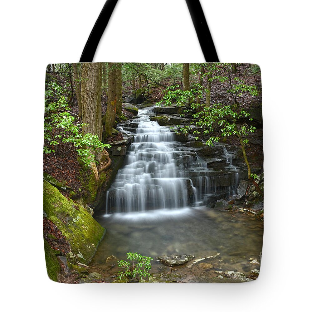 Big Branch Falls Tote Bag featuring the photograph Big Branch Falls 1 by Phil Perkins