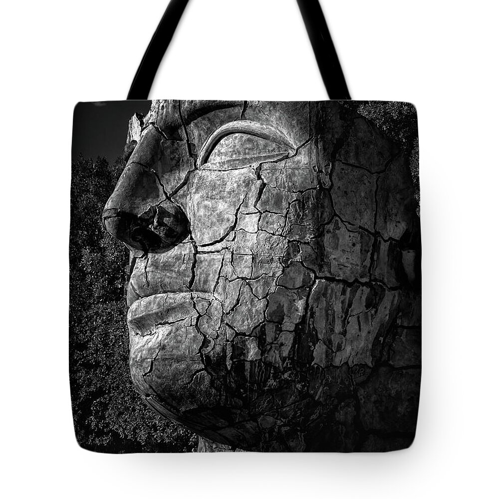 Tindaro Screpolato Tote Bag featuring the photograph Giant Cracked Head by Doug Sturgess