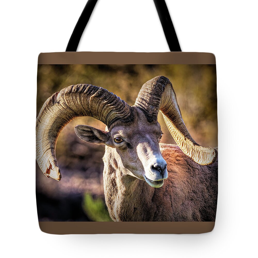 2020 Tote Bag featuring the photograph Big Horn Sheep 1 by James Sage