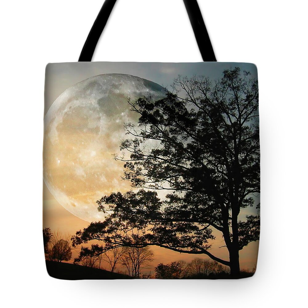 Moon Tote Bag featuring the photograph Big Moon in Sunset by Shara Abel