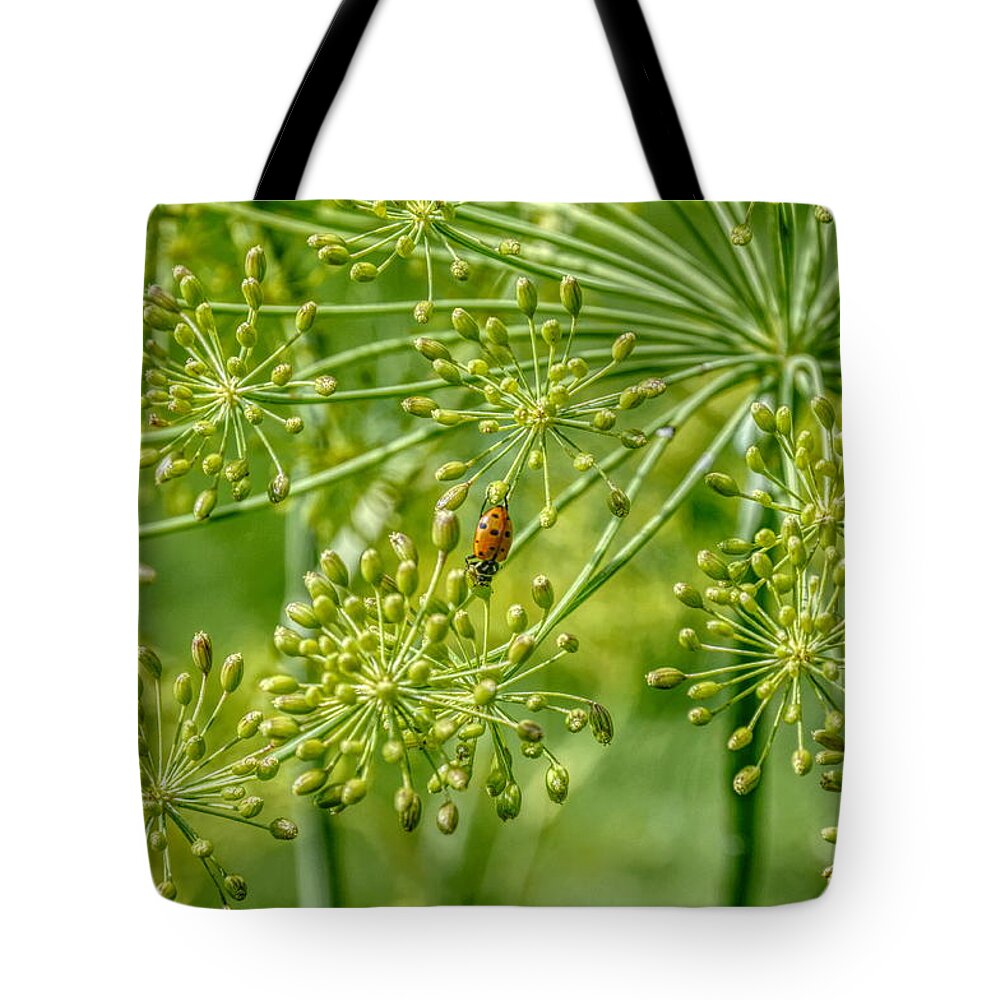 Green Tote Bag featuring the photograph Big Reach by Pamela Dunn-Parrish