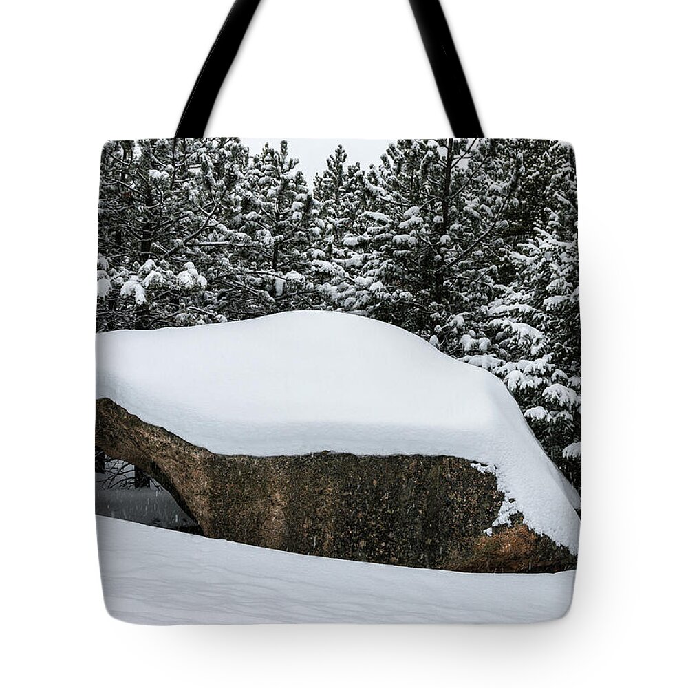 Colorado Tote Bag featuring the photograph Big Rock - 0623 by Jerry Owens
