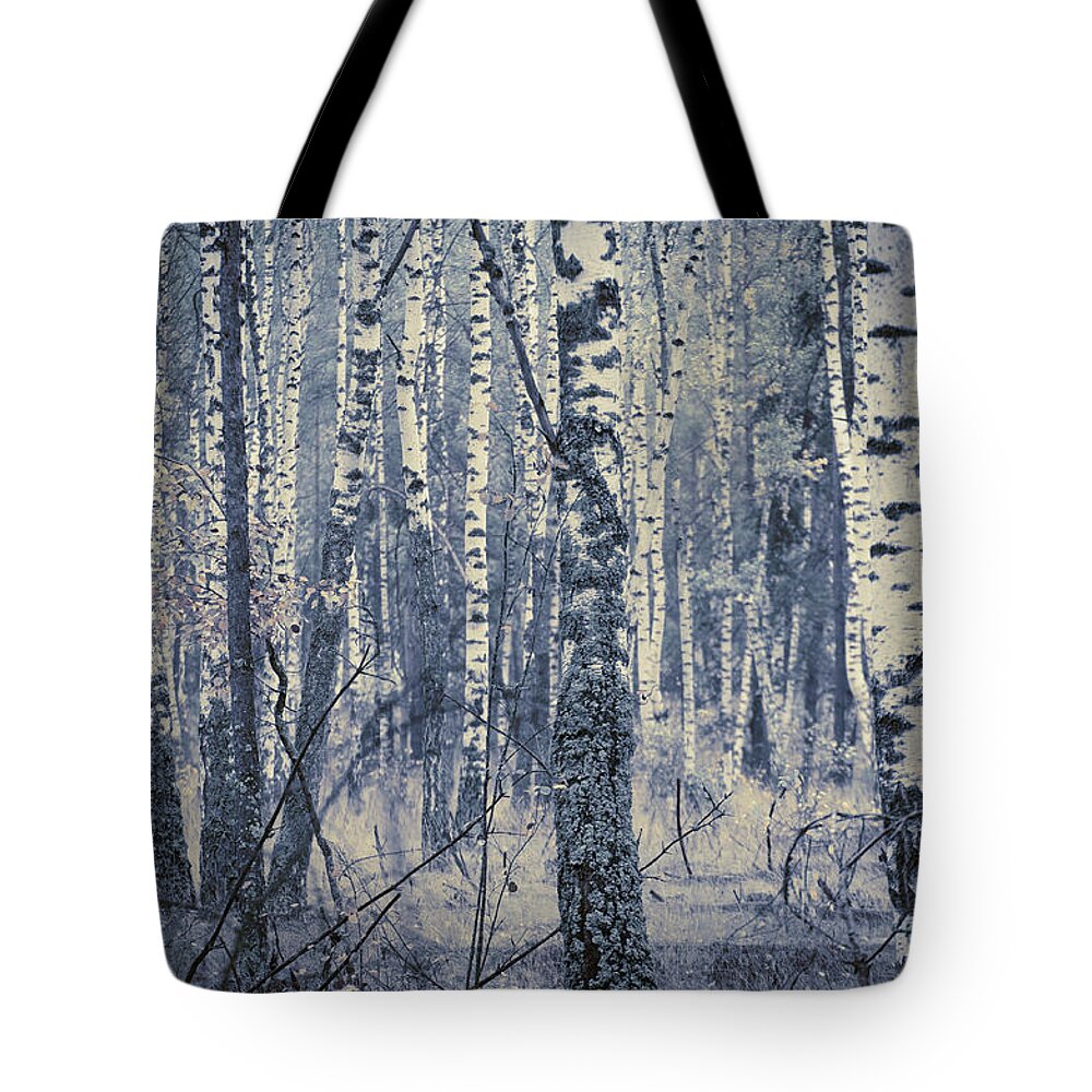 Perspective Tote Bag featuring the photograph Birch Abstract by Andrii Maykovskyi