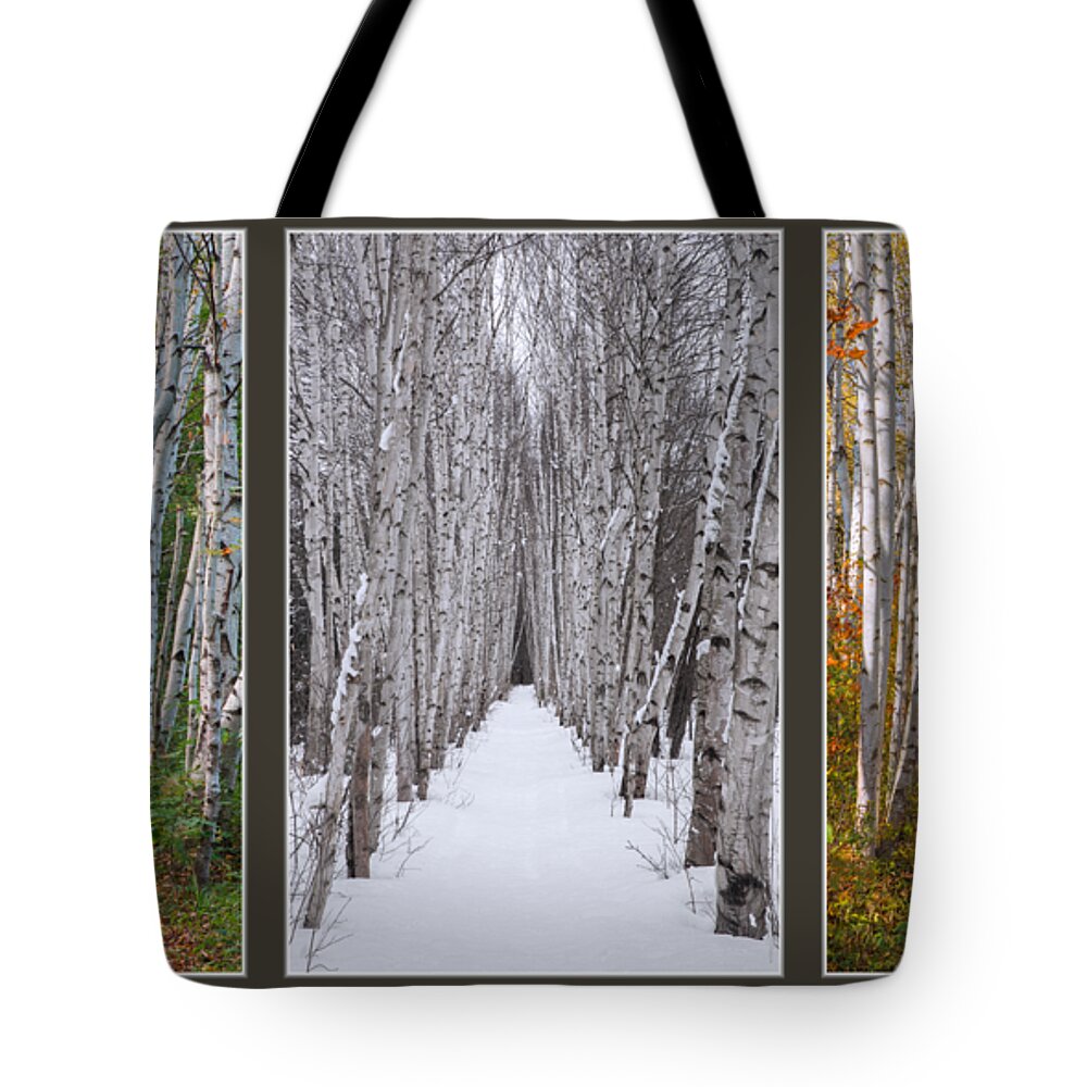 Birch Tote Bag featuring the photograph Birch Path Three Season Collage by White Mountain Images