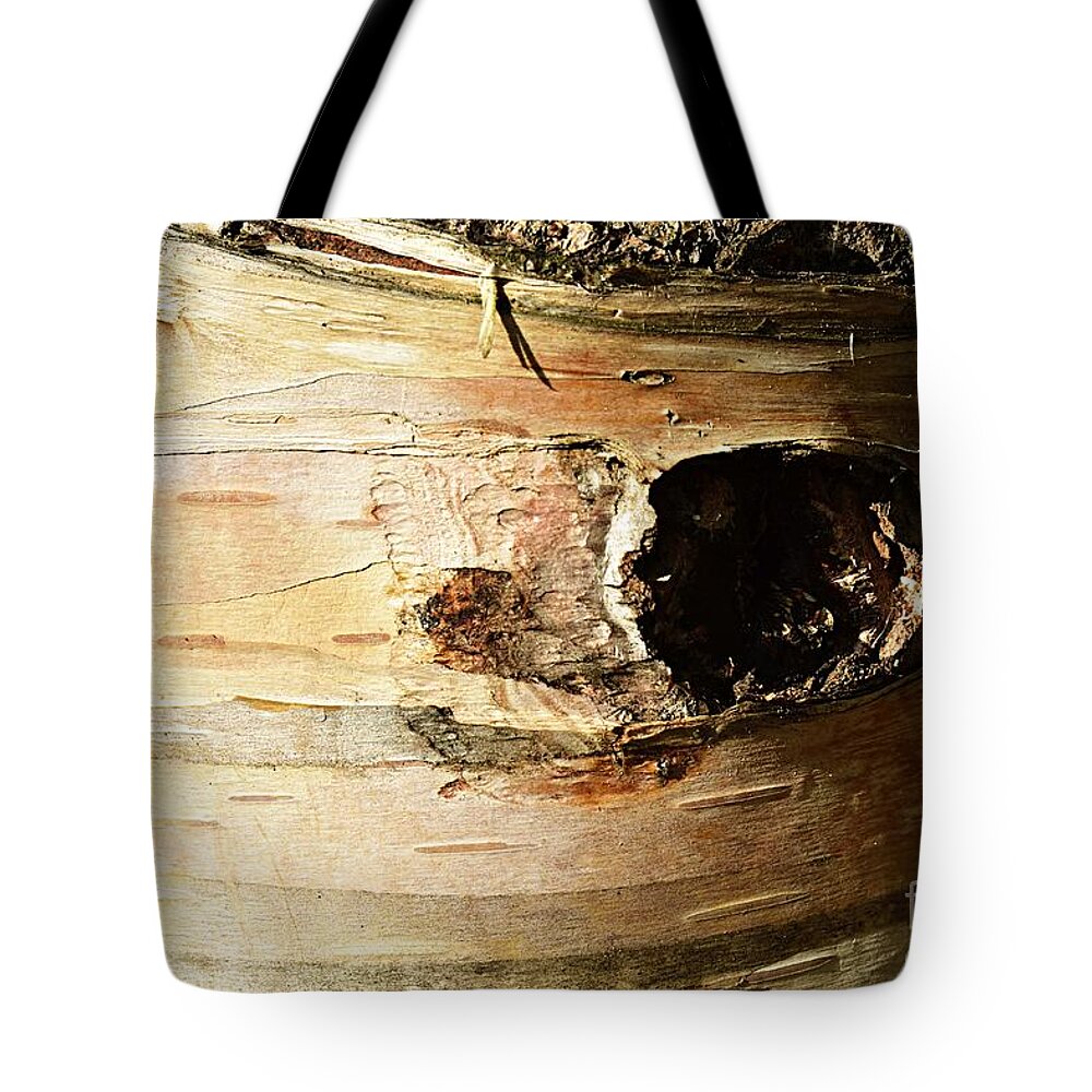 Photography Tote Bag featuring the photograph Birch Tree Closeup by Larry Ricker