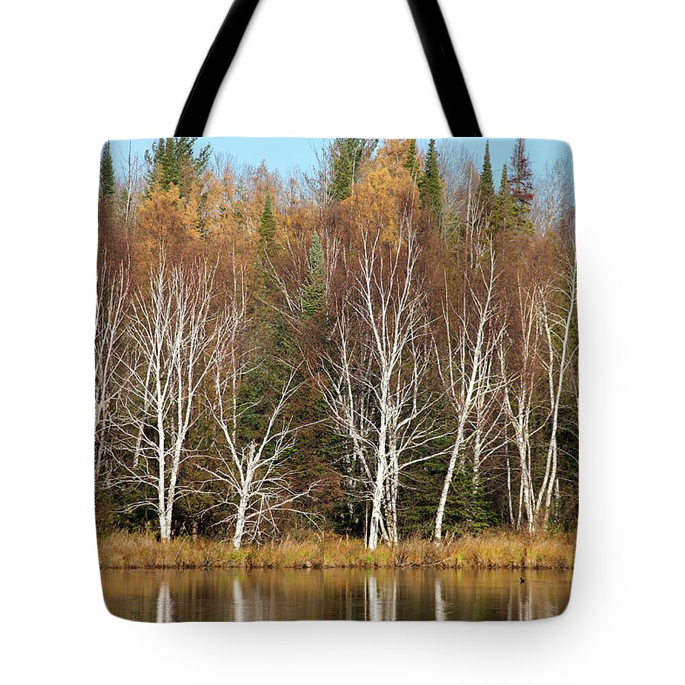 Walden Tote Bag featuring the photograph Birches on Walden Pond by Robert Carter