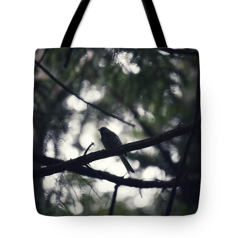 Bird Tote Bag featuring the photograph Bird at Dusk by Evan Foster