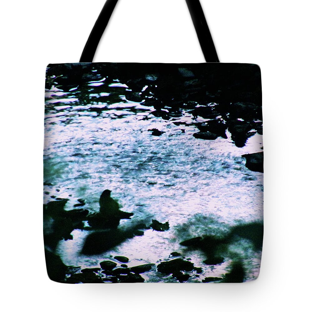 Bird Tote Bag featuring the photograph Bird Bathing at Twilight by Christopher Reed