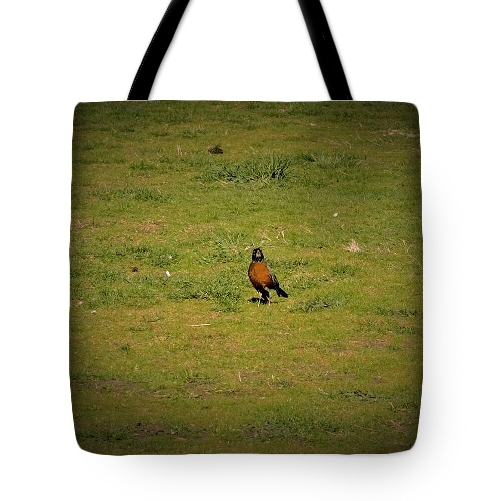 Cardinal Tote Bag featuring the photograph Bird in the park by James Cousineau