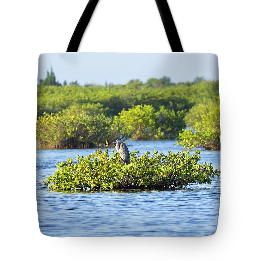 R5-2627 Tote Bag featuring the photograph Bird Island by Gordon Elwell