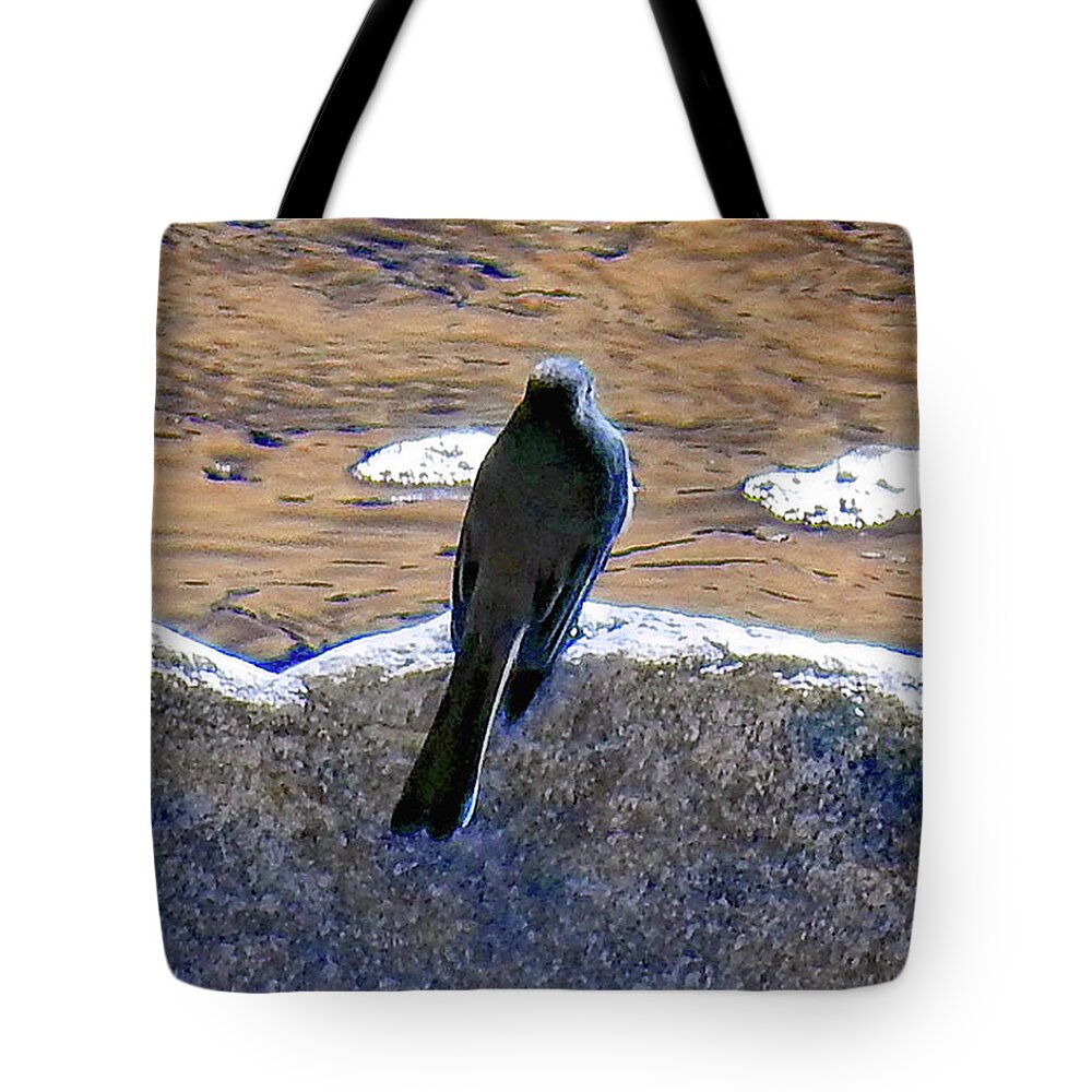 Bird Tote Bag featuring the photograph Bird On A Boulder by Andrew Lawrence