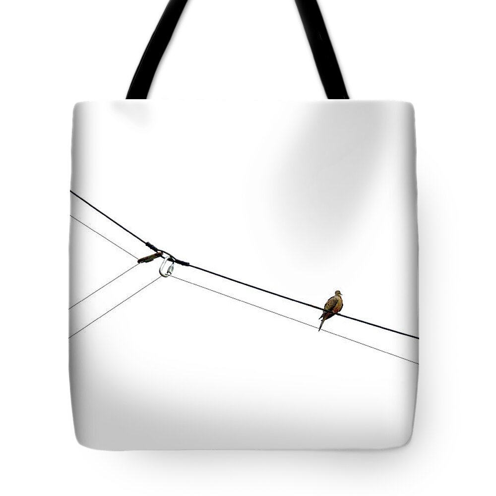 Bird Tote Bag featuring the photograph Bird on a Wire by Joe Bonita