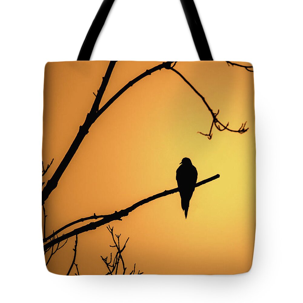 Bird Tote Bag featuring the photograph Mourning Dove Silhouette - Sunset by Jason Fink