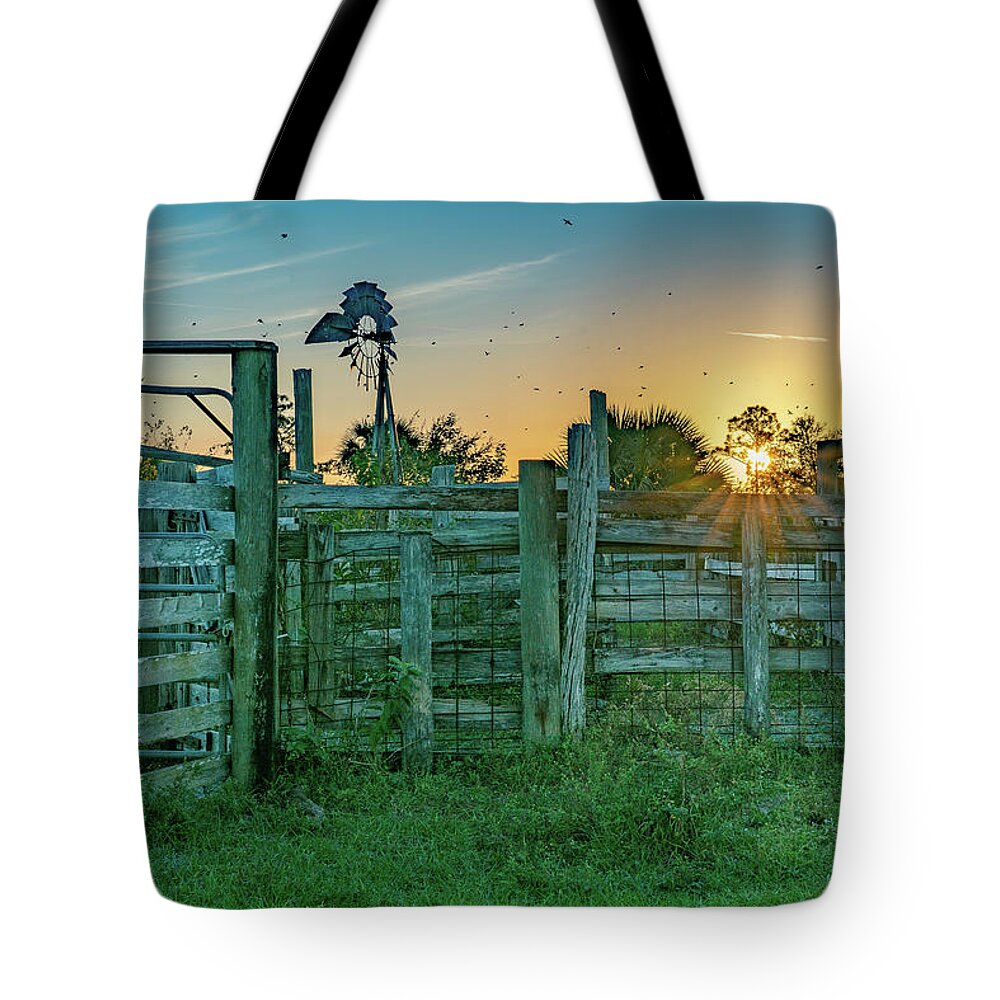 Indiantown Tote Bag featuring the photograph Bird Sky by Todd Tucker