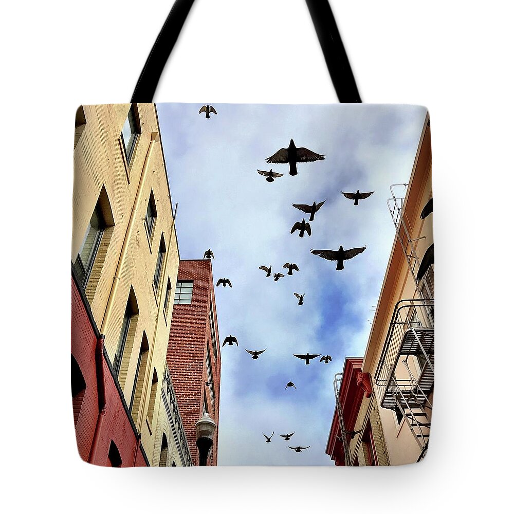  Tote Bag featuring the photograph Birds Above by Julie Gebhardt