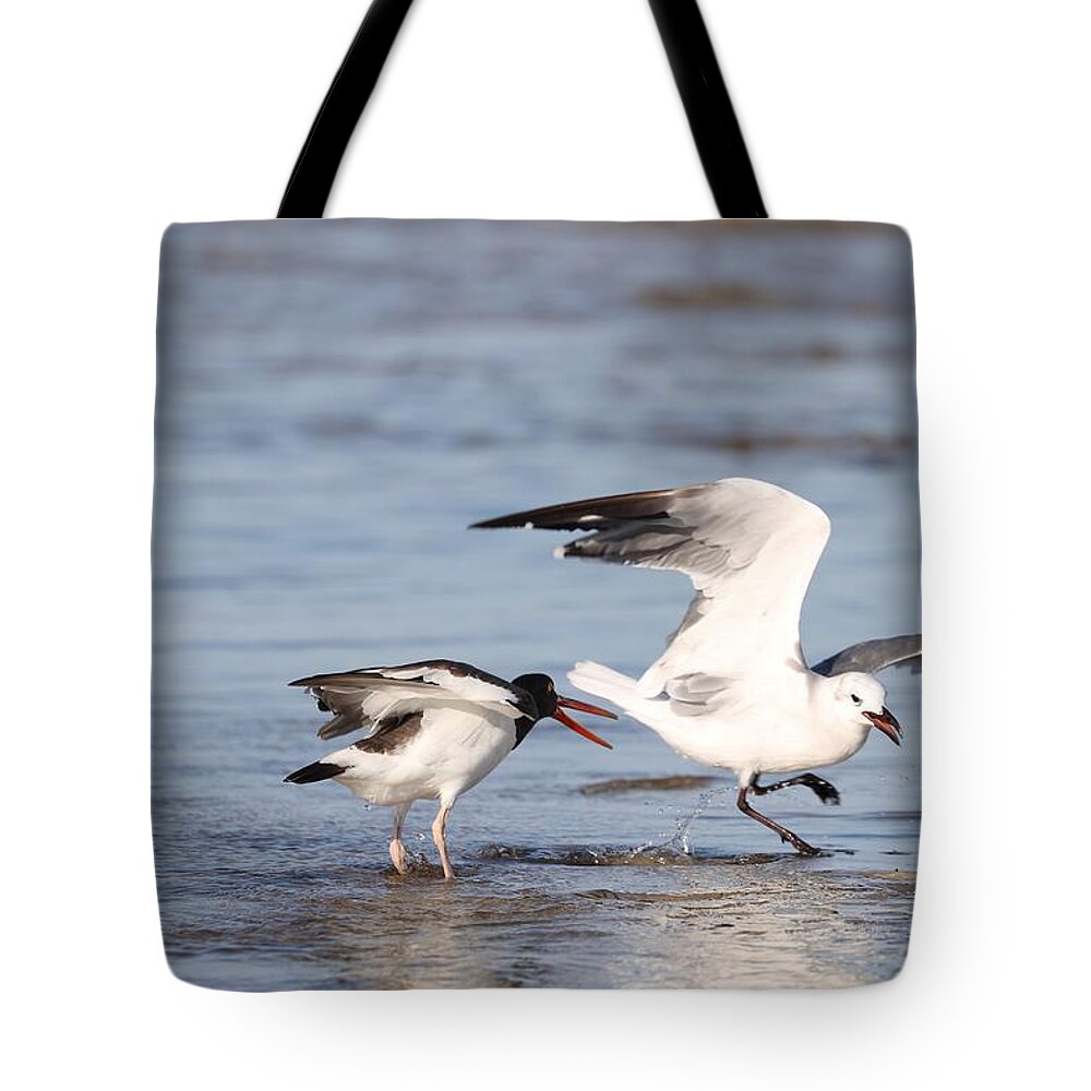Seagulls Tote Bag featuring the photograph Birds' Fight by Mingming Jiang