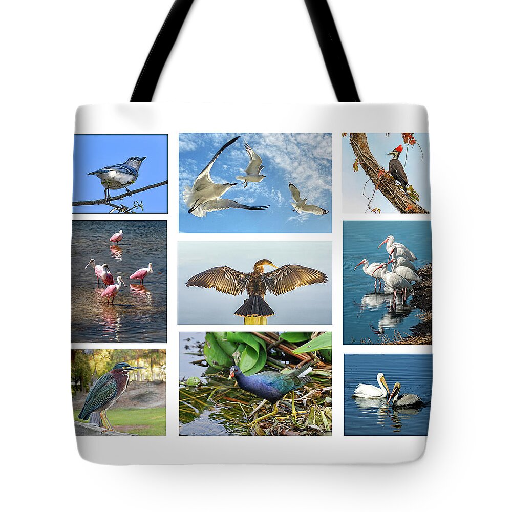 Birds Tote Bag featuring the photograph Birds of Southwest Florida by Geraldine Alexander