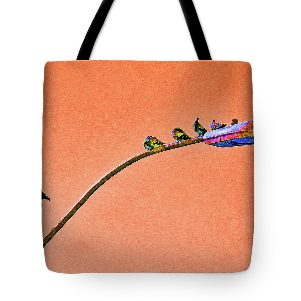 Birds Tote Bag featuring the photograph Birds on a Light Pole by Andrew Lawrence