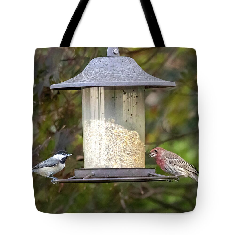 Backyard Birds Tote Bag featuring the photograph Birds Visit to Feeder by Dorothy Cunningham