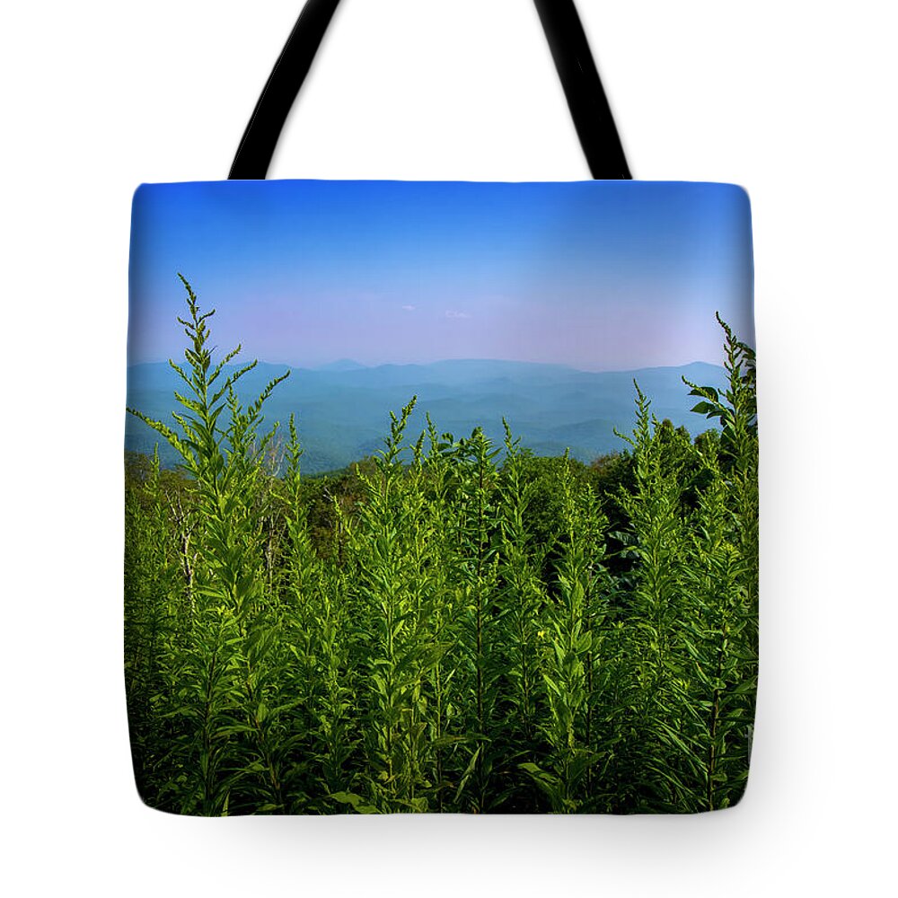 Blue Ridge Mountains Tote Bag featuring the photograph Birdseye view of Blue Ridge Mountains by Shelia Hunt