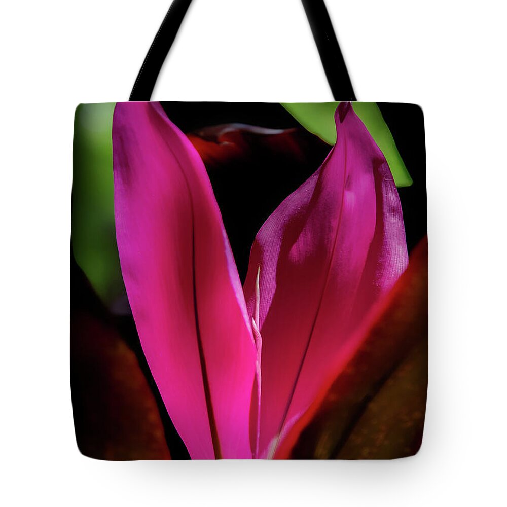 Ti Plant Tote Bag featuring the photograph New Leaves by Neala McCarten