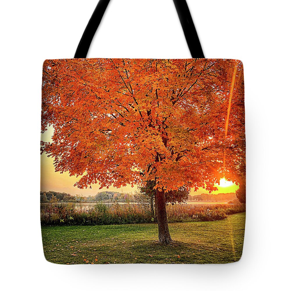 Maple Tree Tote Bag featuring the photograph Bishop Lake Sunset by Jill Love