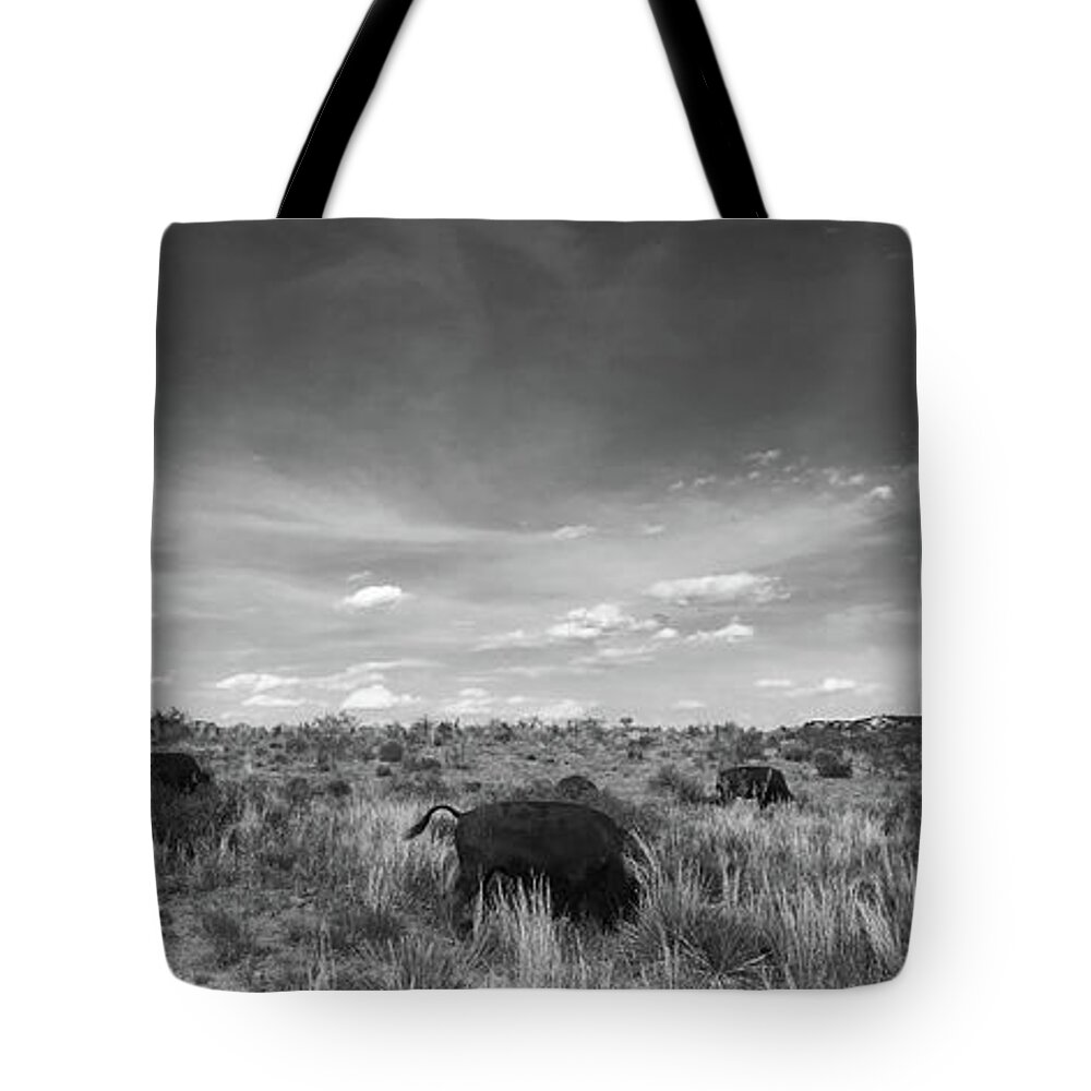 Richard E. Porter Tote Bag featuring the photograph Bison Grazing 2, Caprock Canyons State Park, Texas by Richard Porter
