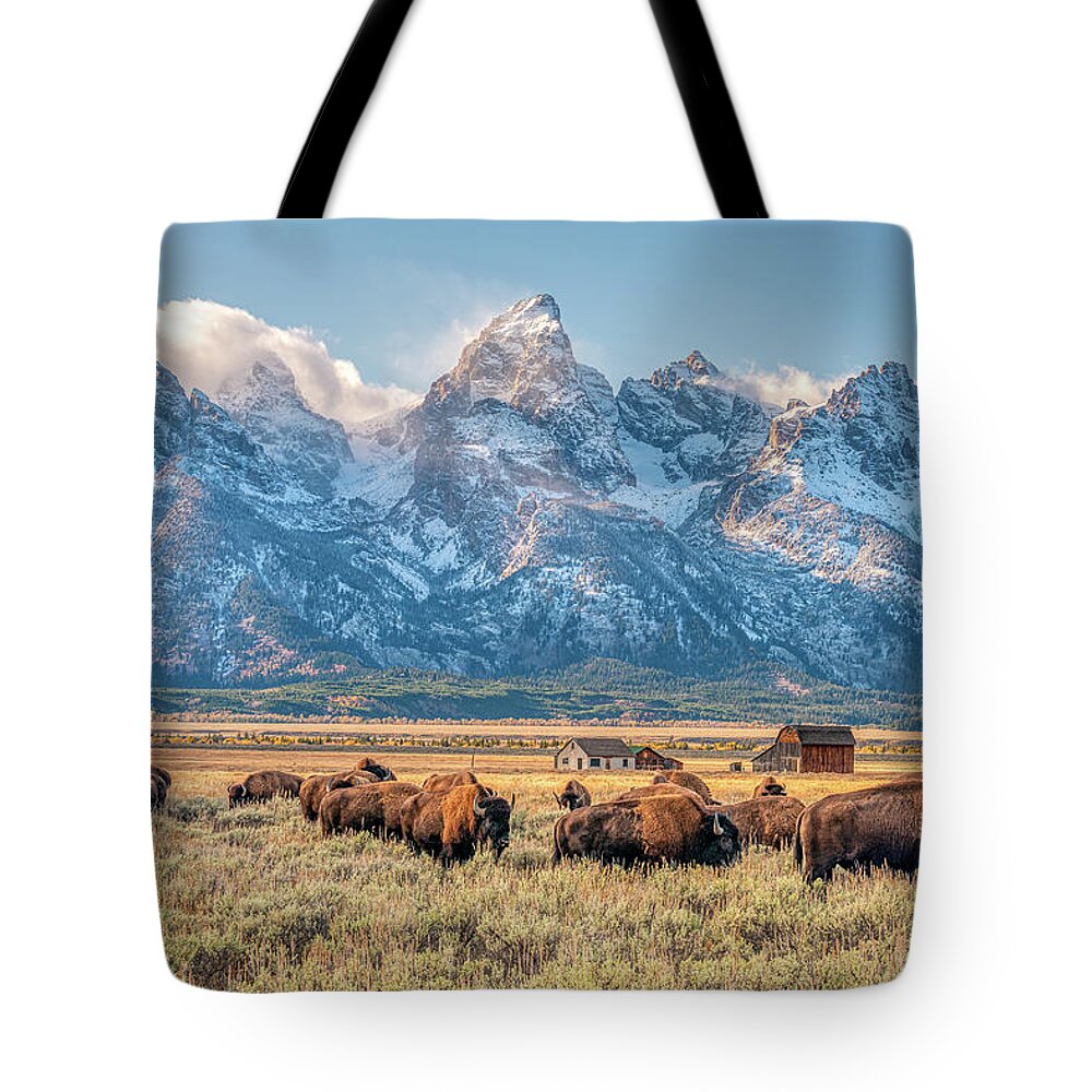 Bison Tote Bag featuring the photograph Bison Grazing in Antelope Flats by Kenneth Everett