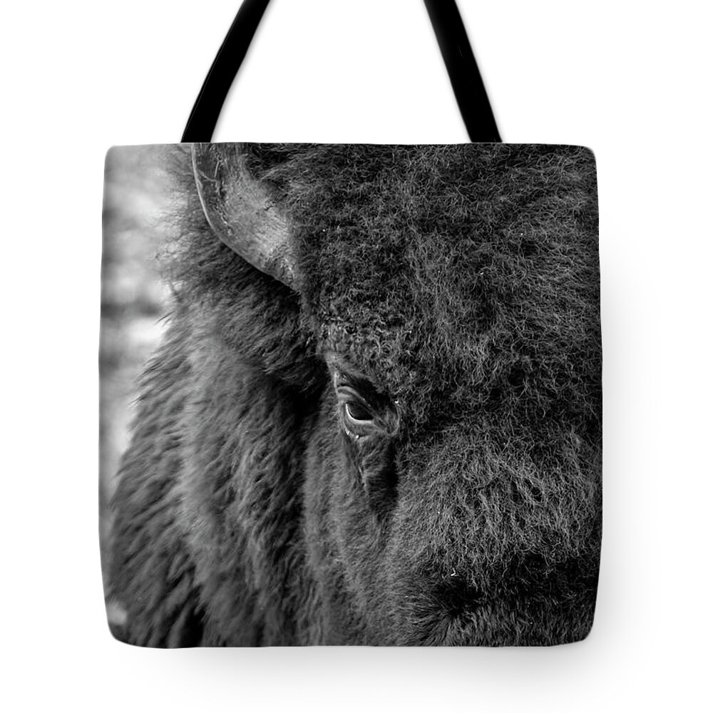 Bison Tote Bag featuring the photograph Bison by Holly Ross