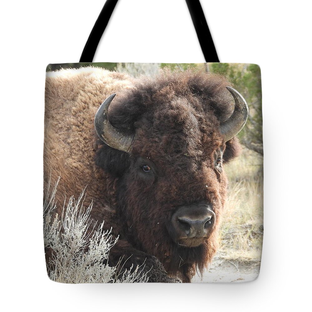 Bison Tote Bag featuring the photograph Bison On The Trail 3 by Amanda R Wright