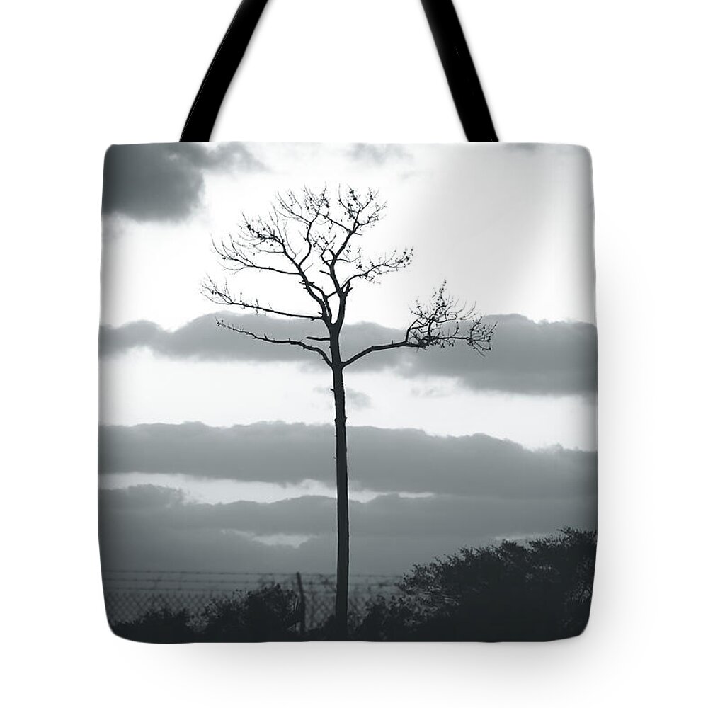 Black And White Wall Art Tote Bag featuring the photograph Bitter Desolation by Gian Smith