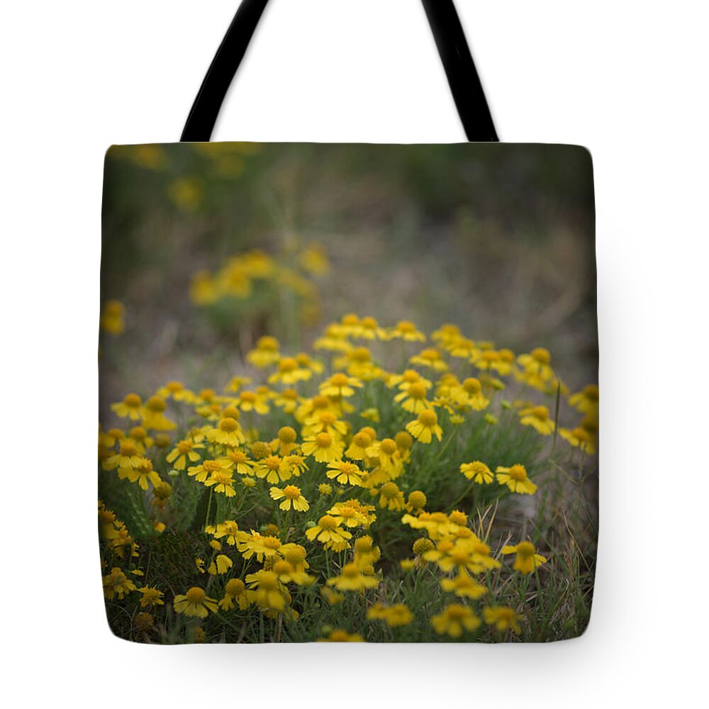 Daisy Tote Bag featuring the photograph Bitter Sneezeweed by DArcy Evans