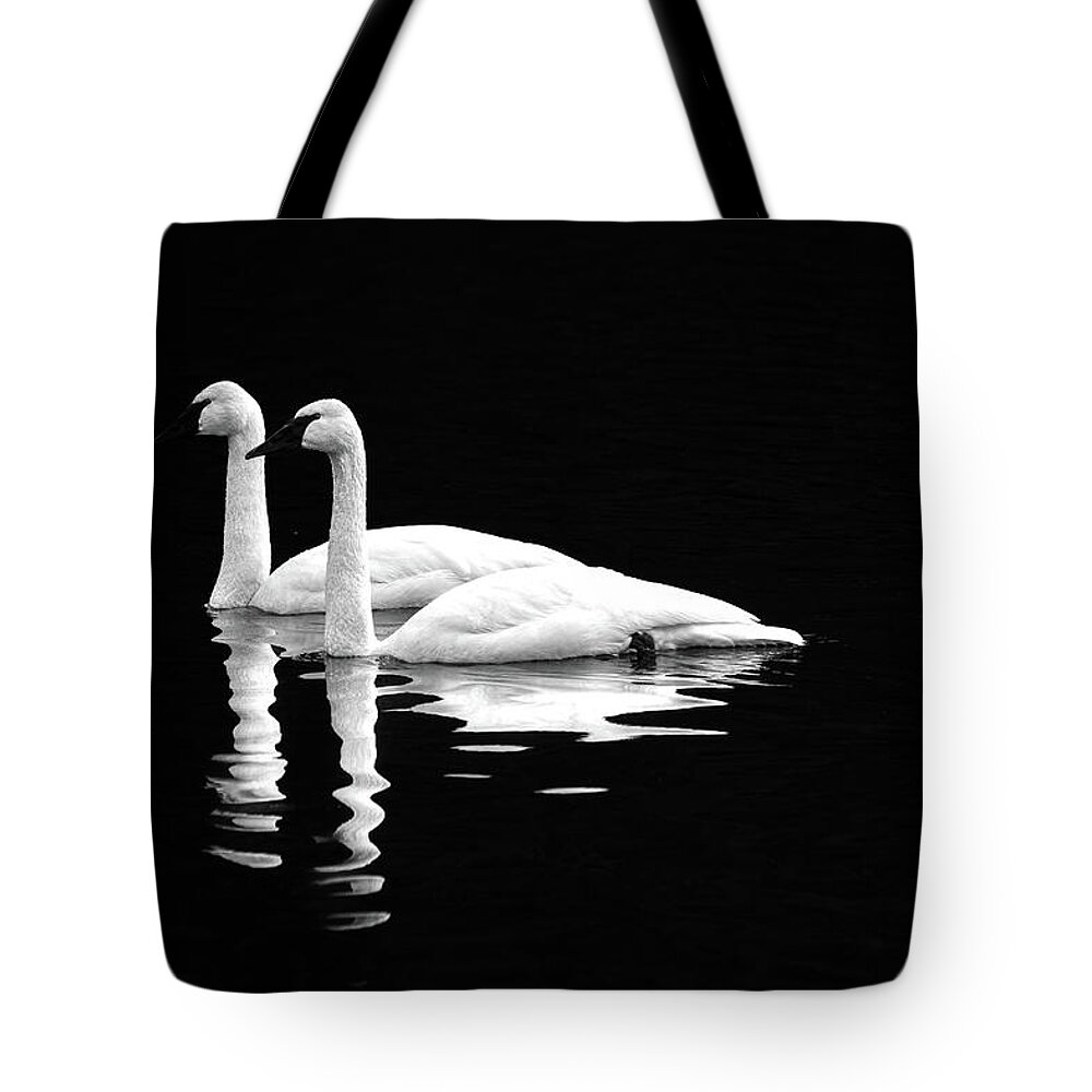 Swan Tote Bag featuring the photograph Black and White Beauty by Jerry Cahill