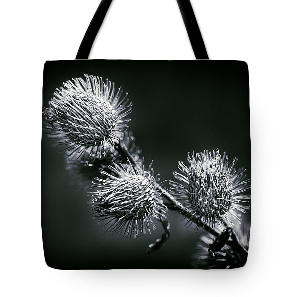Black And White Photography Tote Bag featuring the photograph Black and White by Carrie Hannigan