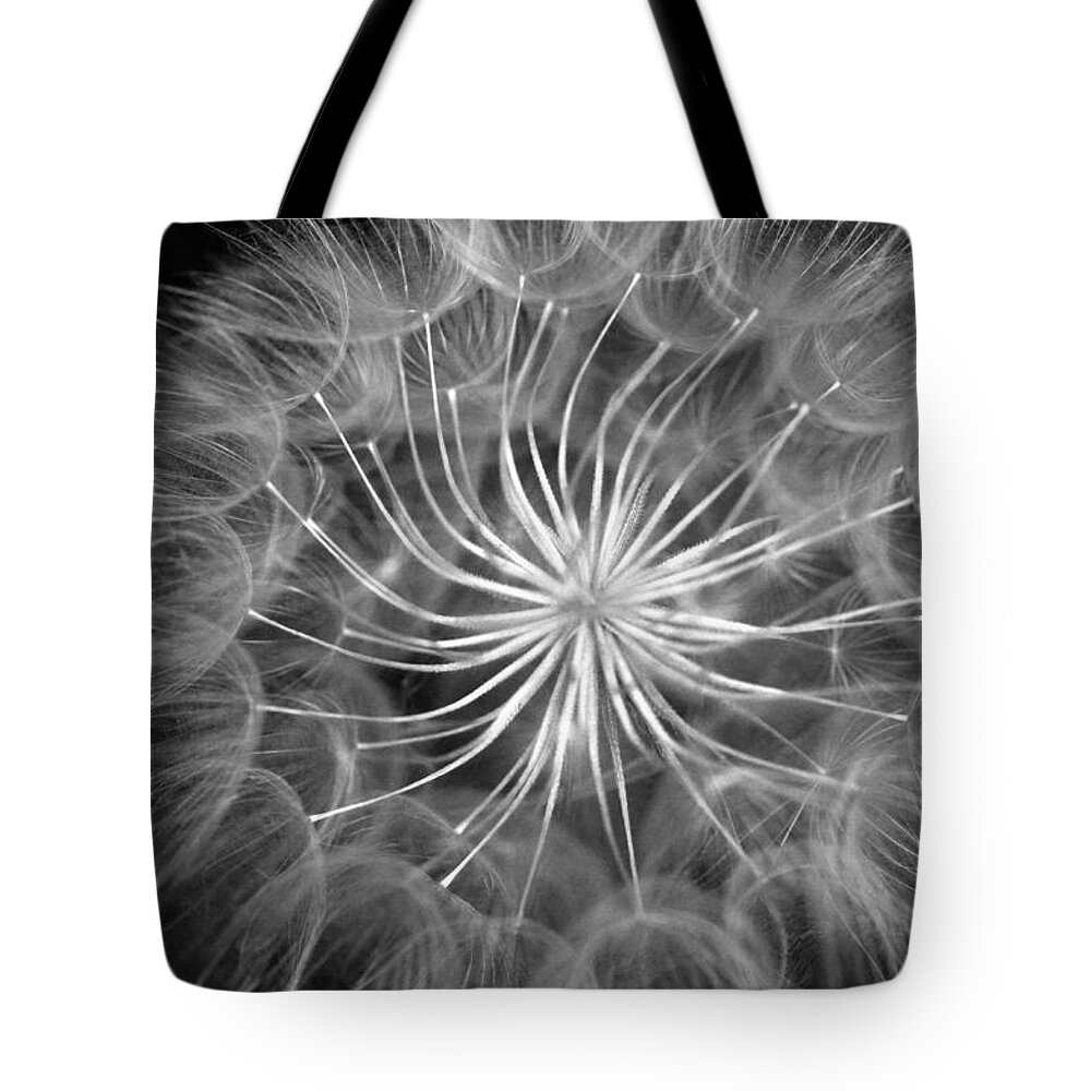 Nature Tote Bag featuring the photograph Black and White Dandelion 2 by Amy Fose