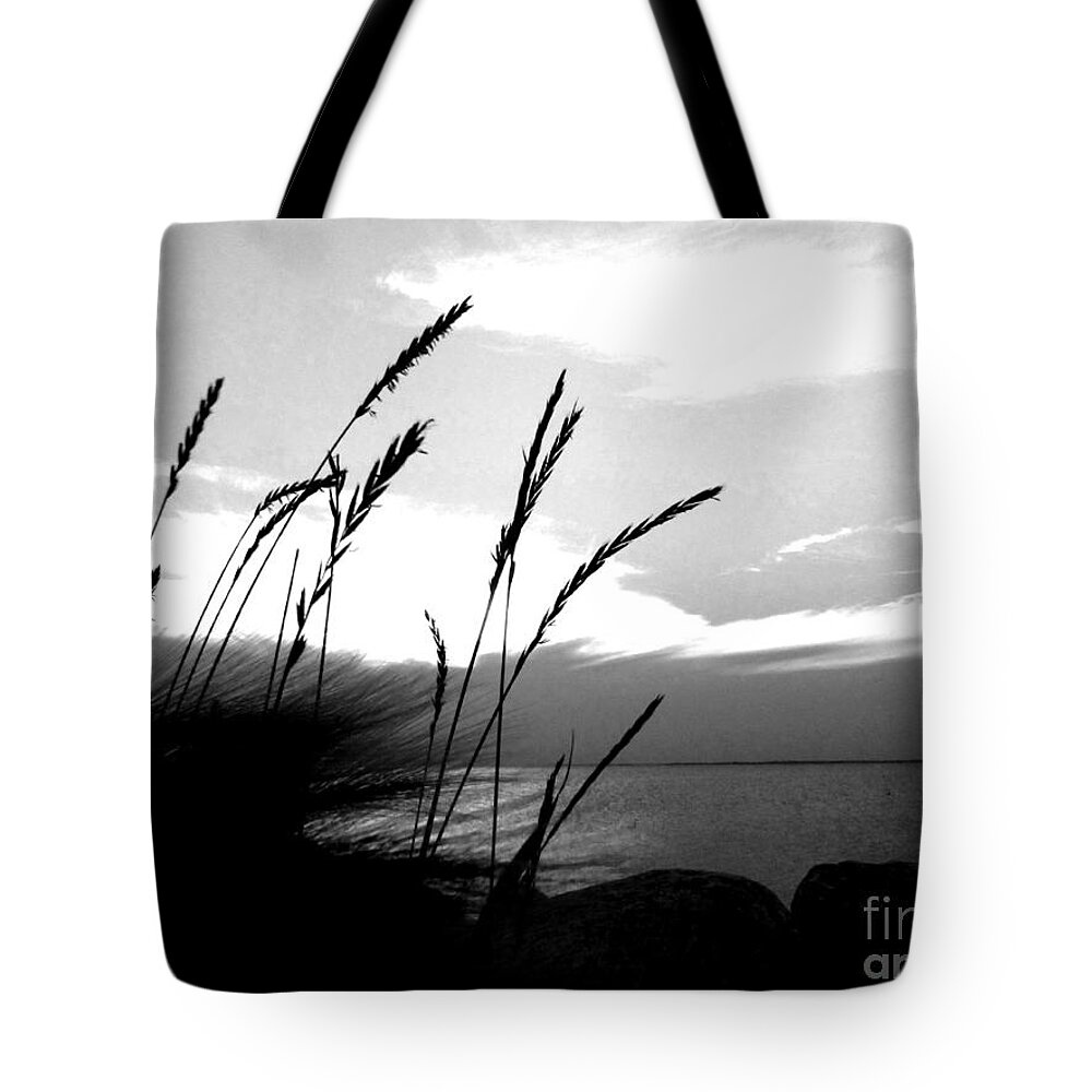 Black And White Tote Bag featuring the photograph Black and White Devils Lake North Dakota Shoreline Photograph Wall Prints by Delynn Addams