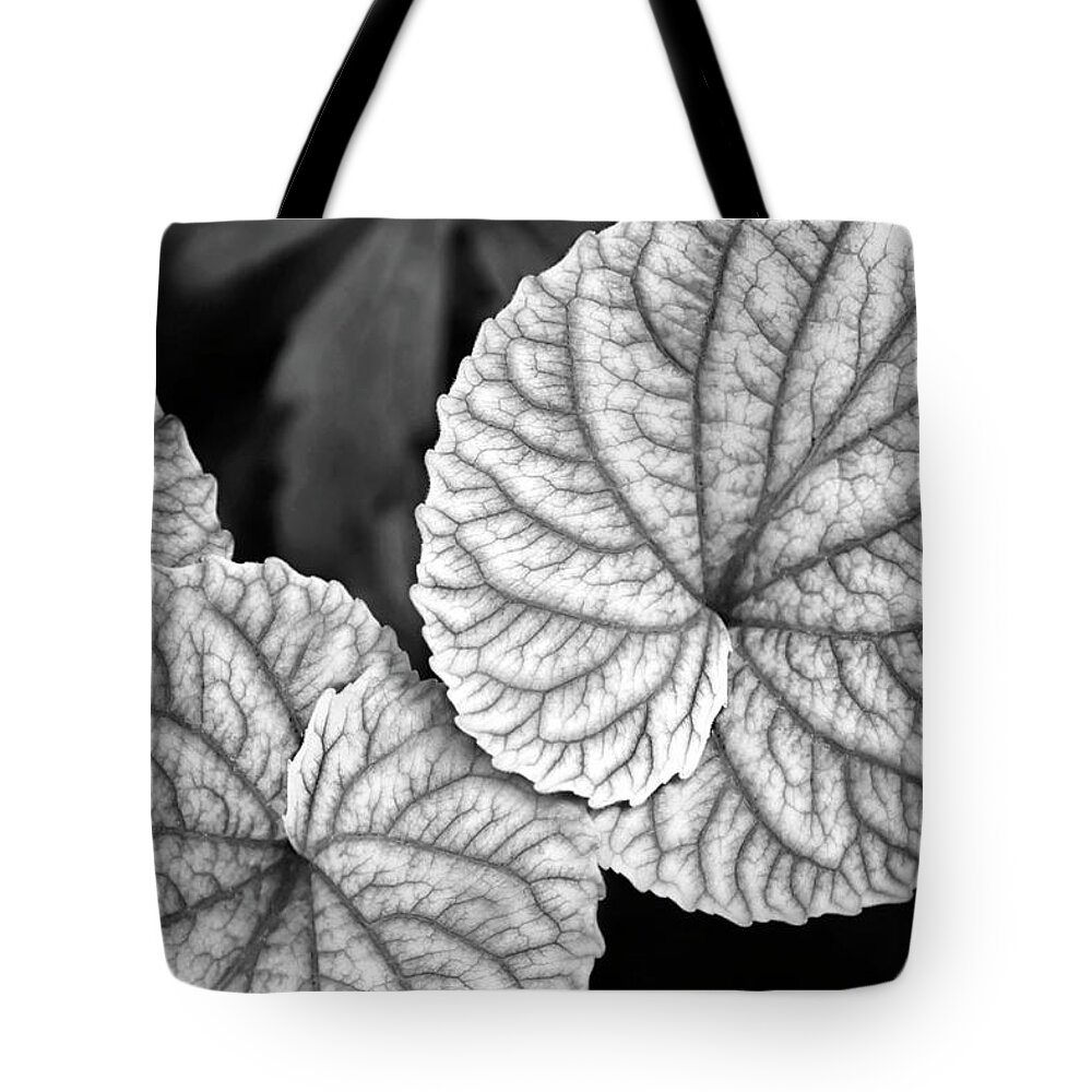 Leaves Tote Bag featuring the photograph Black And White Leaves Abstract by Christina Rollo