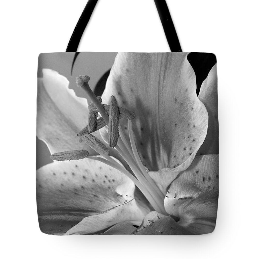 Lily Tote Bag featuring the photograph Black and White Lily 1 by Amy Fose