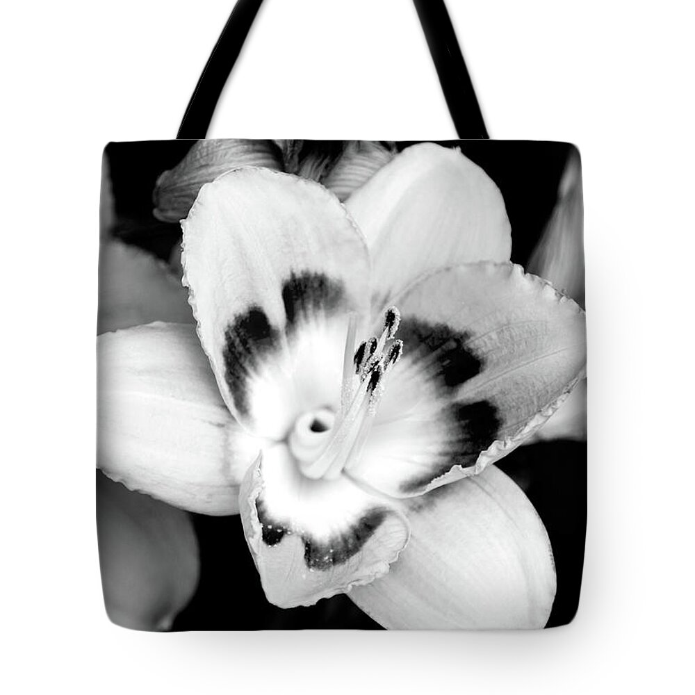 Flowers Tote Bag featuring the photograph Black and White Lily by Christina Rollo