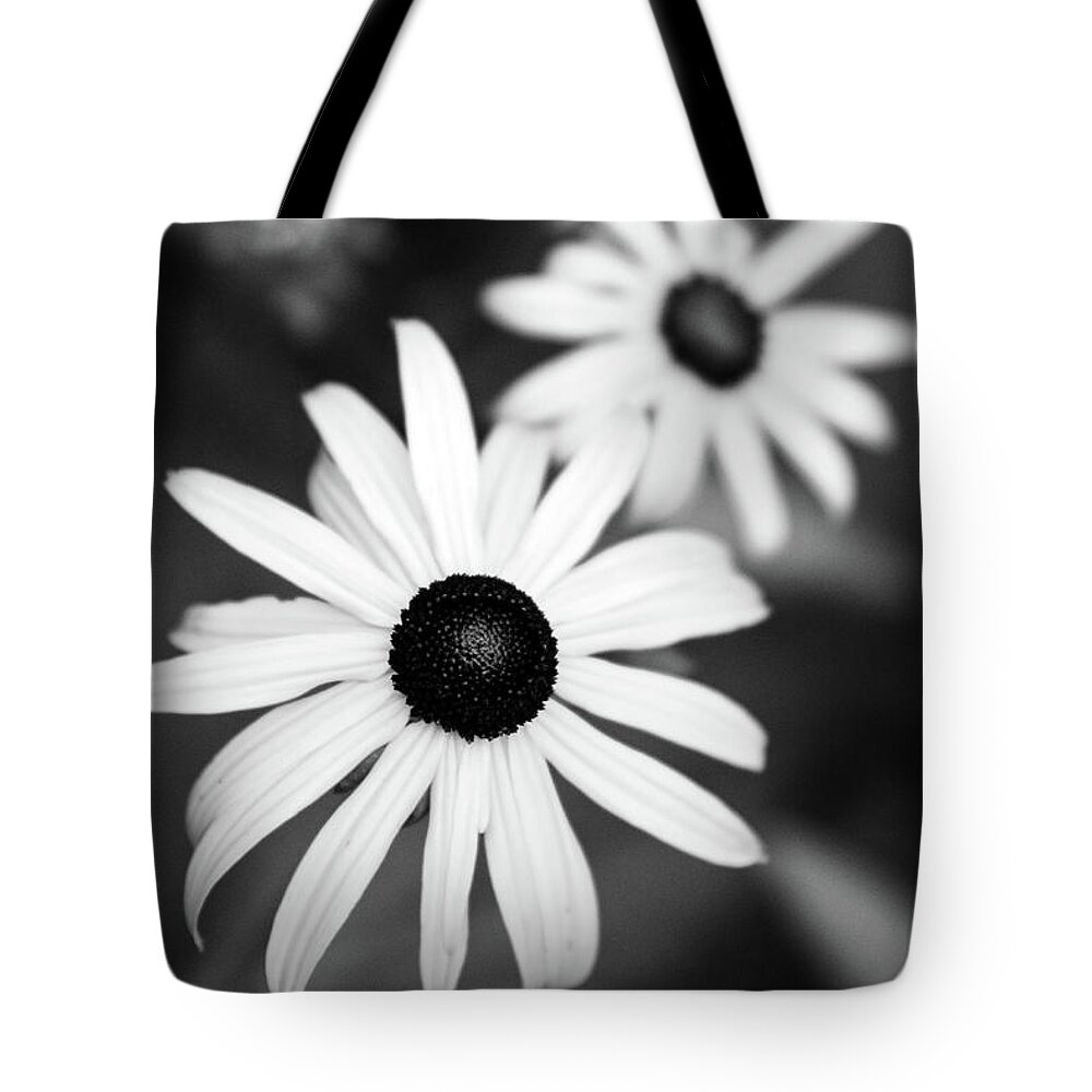 Black And White Tote Bag featuring the photograph Black and White Susans by Christina Rollo
