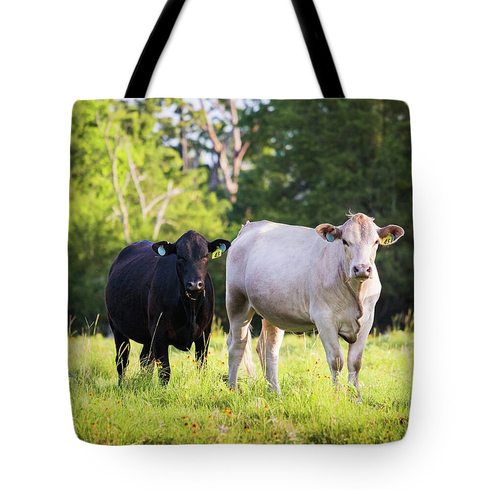  Tote Bag featuring the photograph Black and White by Vincent Bonafede